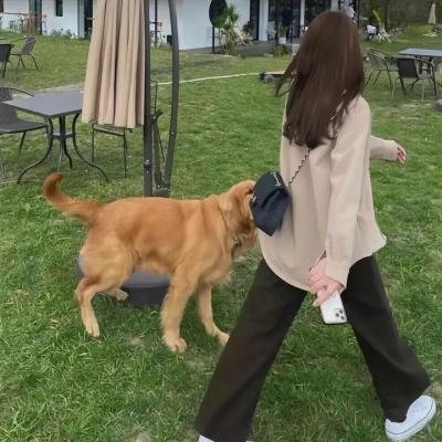 明月曾照江东寒